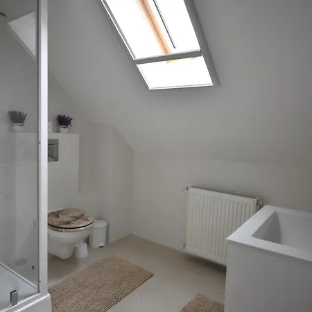 Gozhajo Loft - Csaladi Haz Terasszal, 2 Fuerdoszobaval, Kerekparral Szentendre