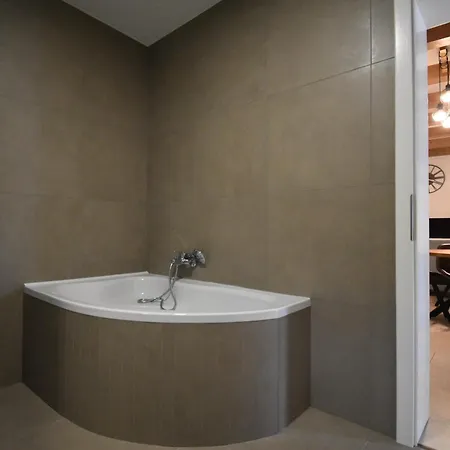 Gozhajo Loft - Csaladi Haz Terasszal, 2 Fuerdoszobaval, Kerekparral Apartament *